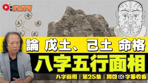 中央戊己土意思|八字五行性质分析之戊己土 八字中戊己土详解